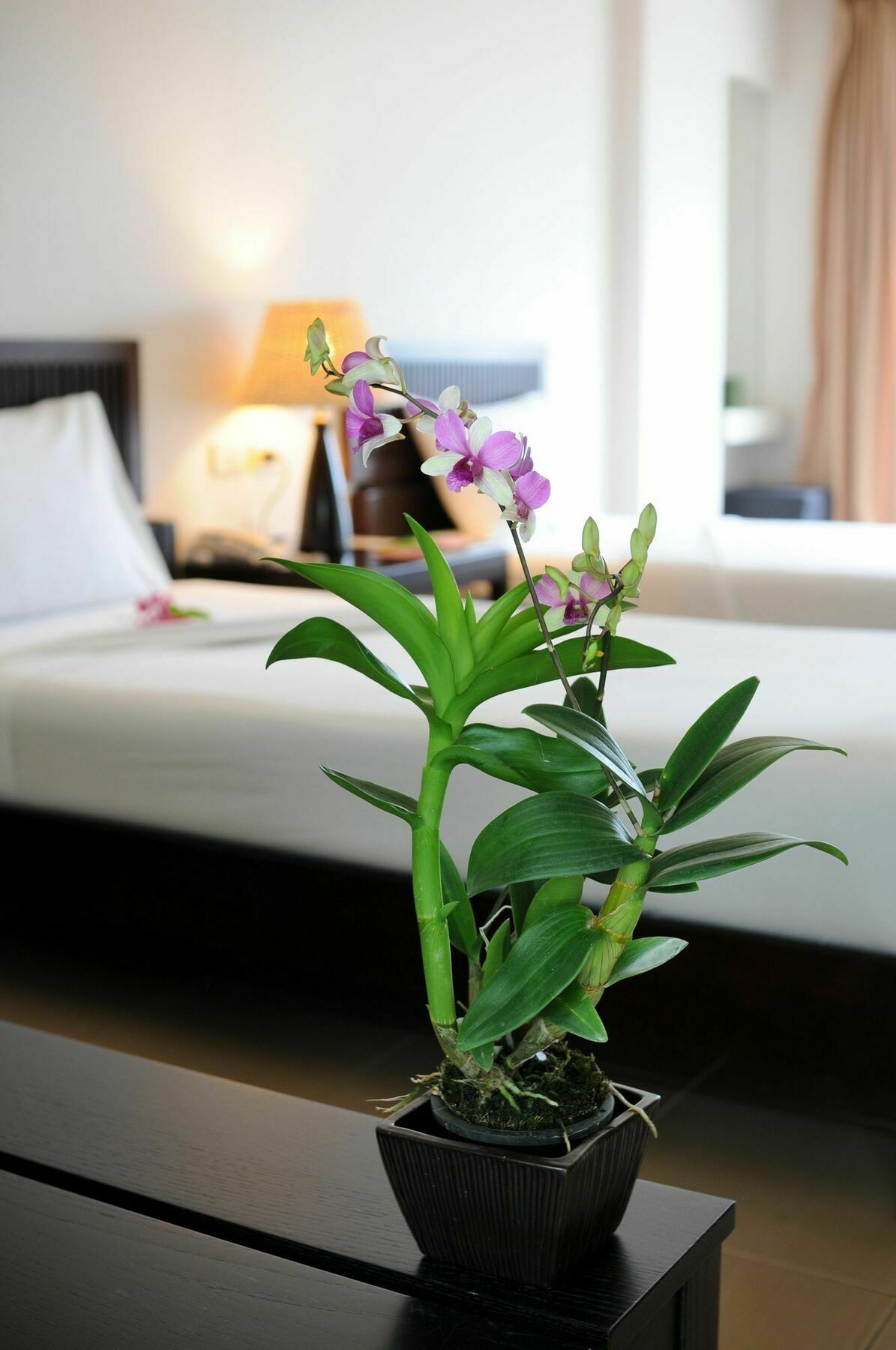 Kasemsarn Hotel Chanthaburi Εξωτερικό φωτογραφία